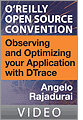 Observing and Optimizing your Application with DTrace