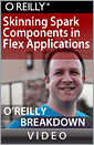 Skinning Spark Components in Flex Applications