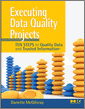 Executing Data Quality Projects