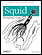 Squid: The Definitive Guide