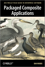 Book cover of Packaged Composite Applications