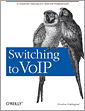 Switching to VoIP