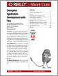 Enterprise Application Development with Flex