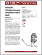 Flex 3 Early Evaluation: Assessing Flex and Your Project Needs