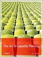 Cover of The Art of Capacity Planning