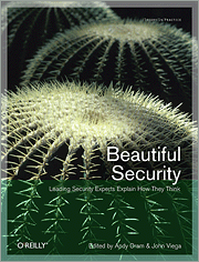 Beautiful Security
Cover