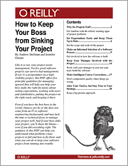 Book cover of How to Keep Your Boss from Sinking Your Project