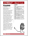 Facelets