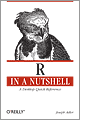 R in a Nutshell
