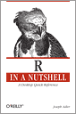 R in a Nutshell