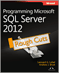 Programming Microsoft SQL Server 2012 (Rough Cuts Version)