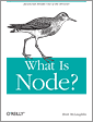 What Is Node?