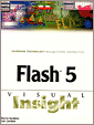 Flash 5 Visual Insight
