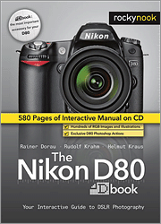 Book cover of The Nikon D80 Dbook