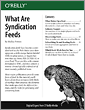 What Are Syndication Feeds